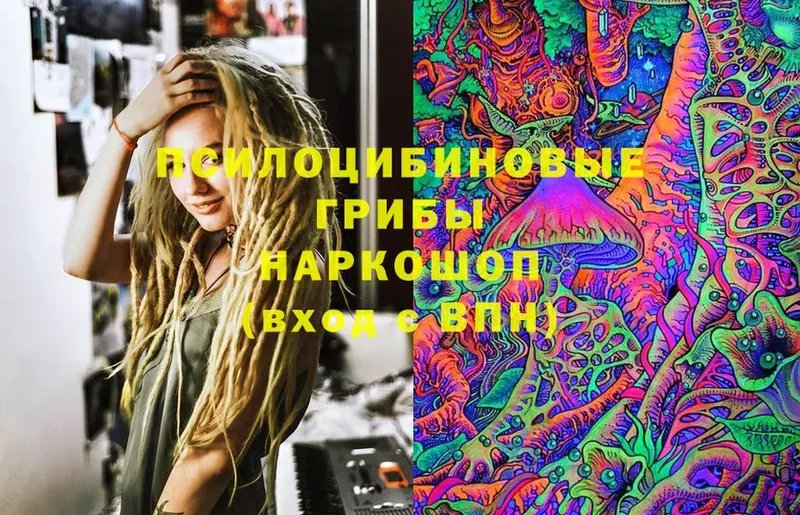 Псилоцибиновые грибы Cubensis Богородицк